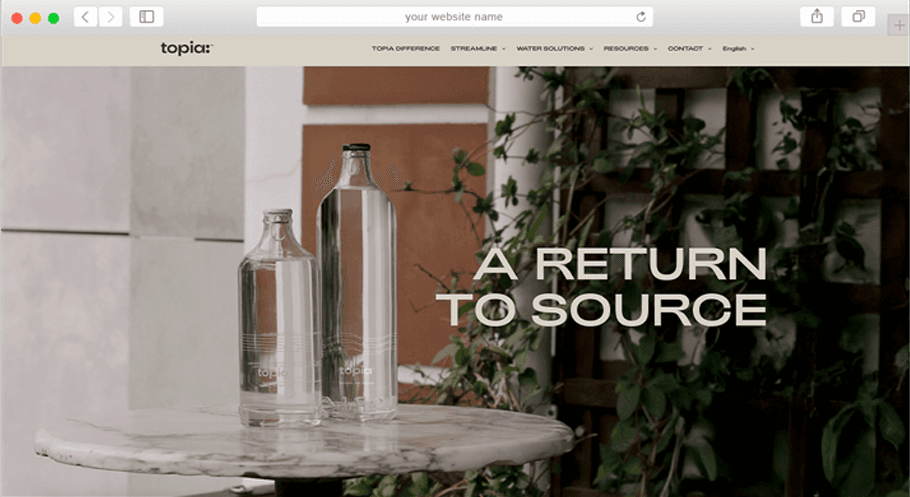 Website development showcase