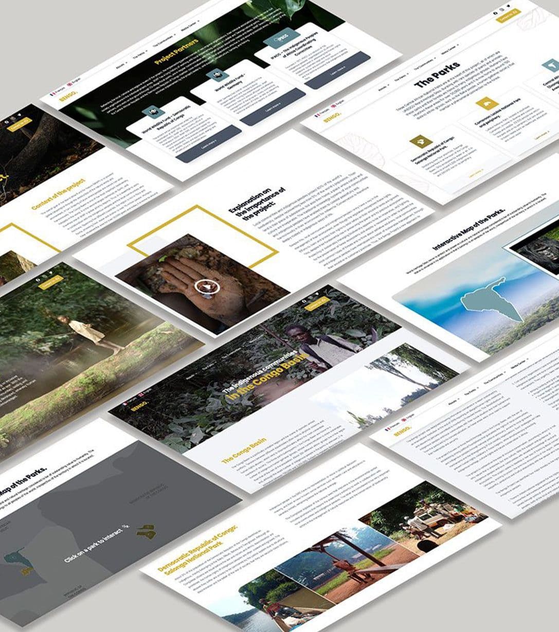 Project Bengo Website Development